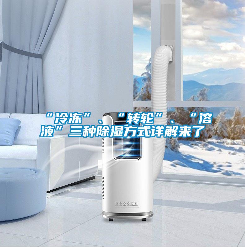 “冷凍”、“轉(zhuǎn)輪”、“溶液”三種除濕方式詳解來了