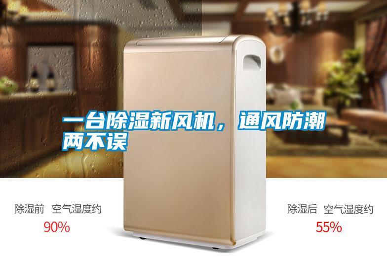 一臺除濕新風機,通風防潮兩不誤