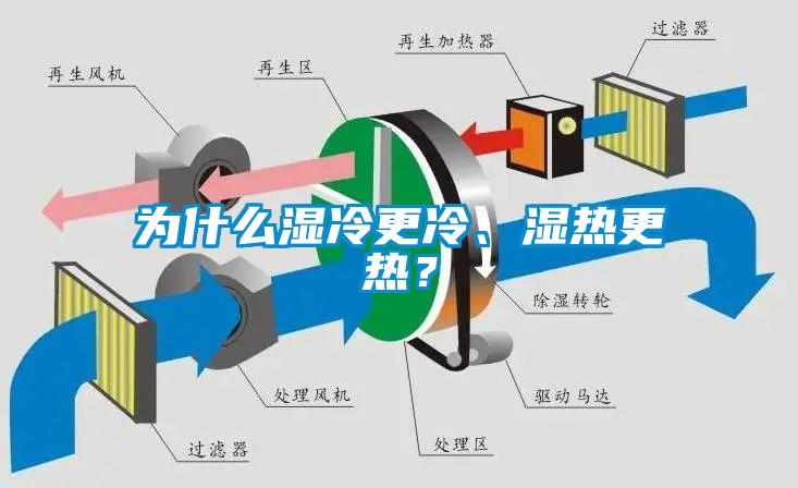 為什么濕冷更冷、濕熱更熱?