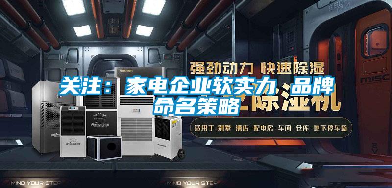 關注:家電企業(yè)軟實力 品牌命名策略