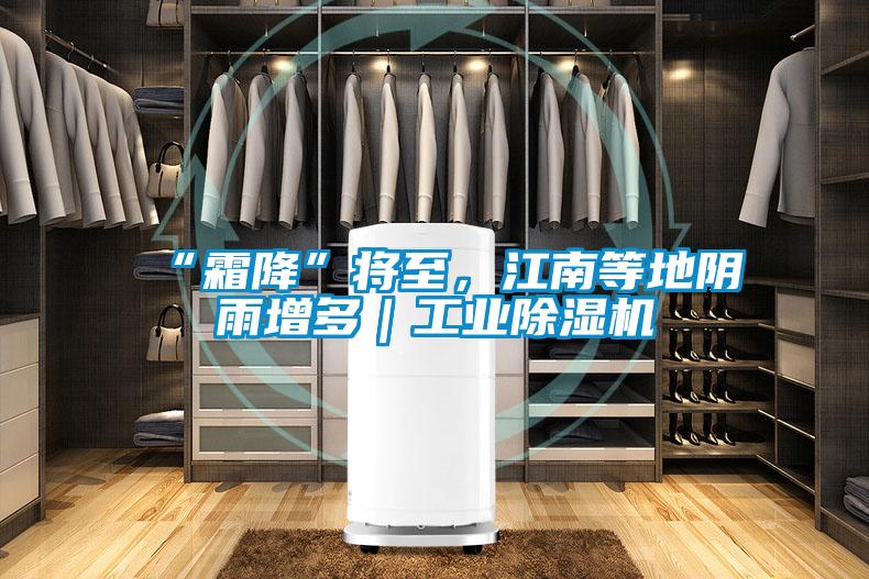 “霜降”將至，江南等地陰雨增多｜工業除濕機