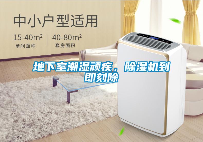 地下室潮濕頑疾，除濕機到即刻除