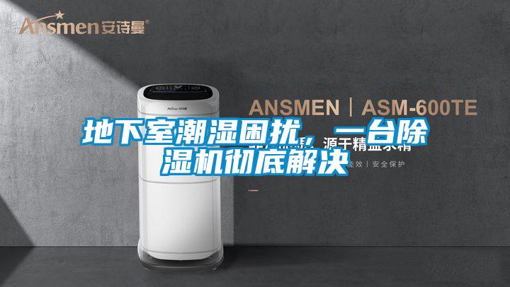 地下室潮濕困擾，一臺除濕機徹底解決