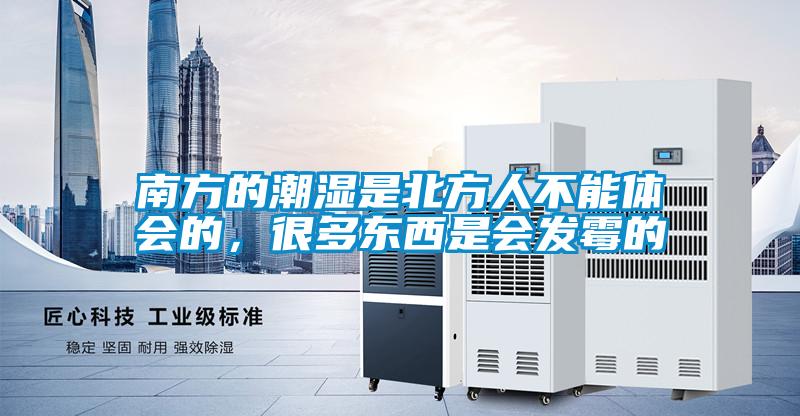 南方的潮濕是北方人不能體會的，很多東西是會發霉的