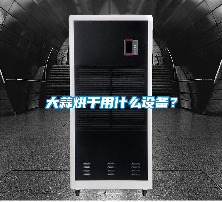 大蒜烘干用什么設備?