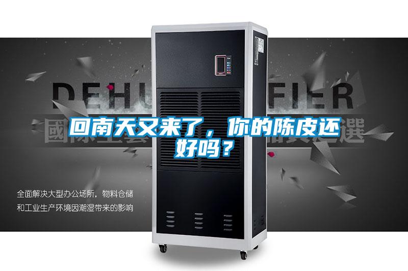 回南天又來了,你的陳皮還好嗎?