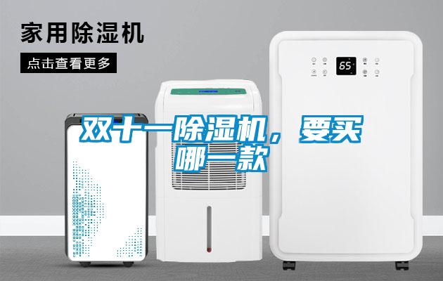 雙十一除濕機,要買哪一款