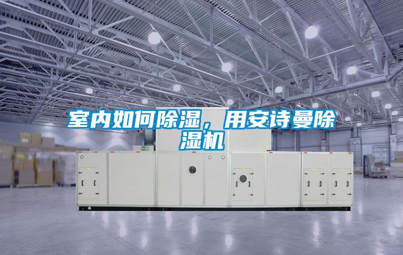 室內如何除濕,用安詩曼除濕機