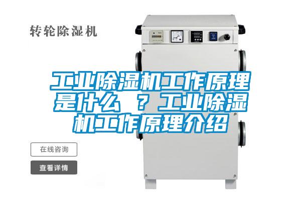 工業(yè)除濕機工作原理是什么 ？工業(yè)除濕機工作原理介紹