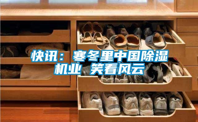 快訊:寒冬里中國除濕機業(yè) 笑看風(fēng)云