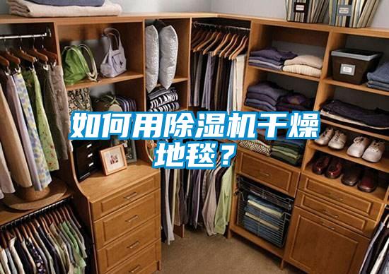 如何用除濕機干燥地毯？