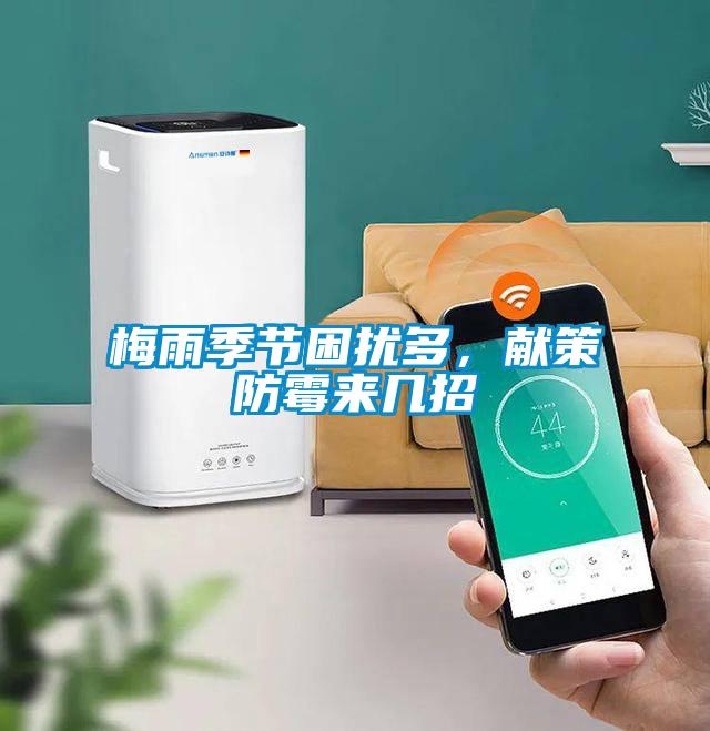 梅雨季節困擾多，獻策防霉來幾招