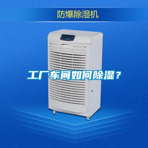 工廠車間如何除濕?