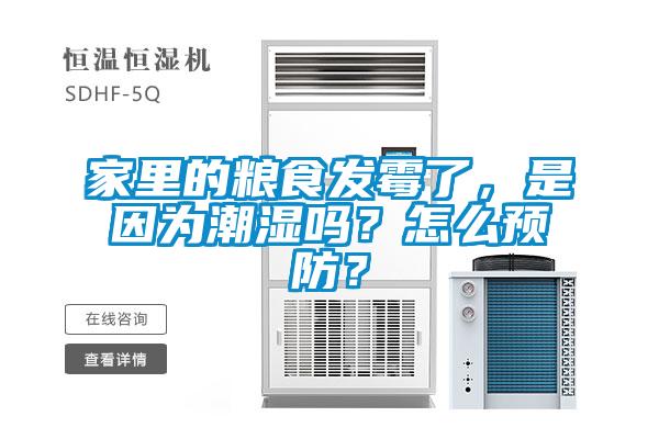 家里的糧食發(fā)霉了，是因為潮濕嗎？怎么預(yù)防？