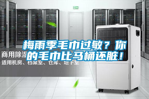 梅雨季毛巾過(guò)敏?你的毛巾比馬桶還臟!