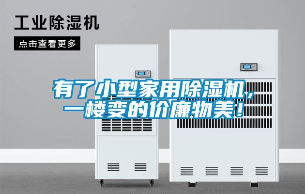 有了小型家用除濕機(jī),一樓變的價(jià)廉物美!