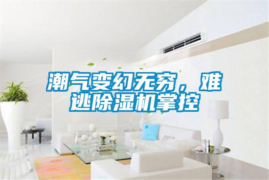 潮氣變幻無窮,難逃除濕機(jī)掌控