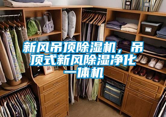 新風吊頂除濕機，吊頂式新風除濕凈化一體機