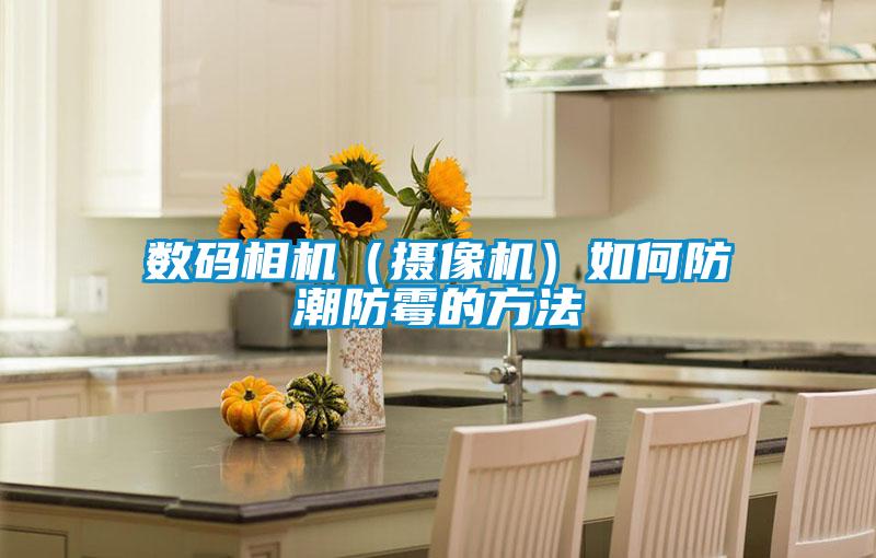 數(shù)碼相機(jī)(攝像機(jī))如何防潮防霉的方法