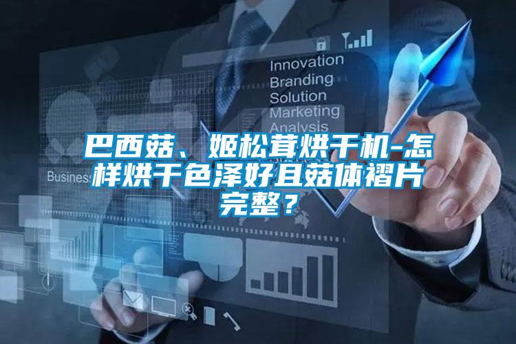 巴西菇、姬松茸烘干機-怎樣烘干色澤好且菇體褶片完整？