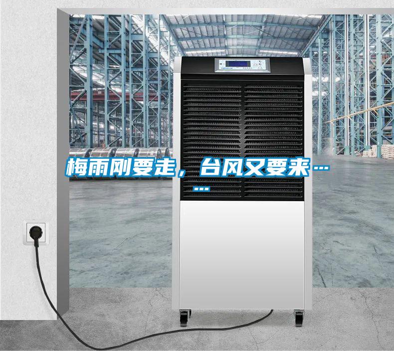 梅雨剛要走，臺(tái)風(fēng)又要來……