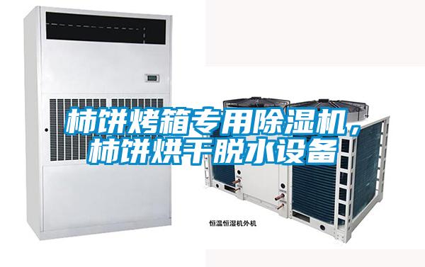 柿餅烤箱專用除濕機(jī),柿餅烘干脫水設(shè)備