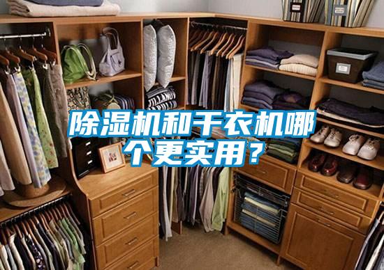 除濕機(jī)和干衣機(jī)哪個更實(shí)用？