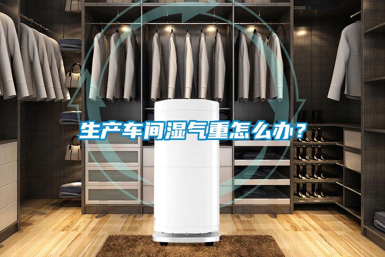 生產車間濕氣重怎么辦？