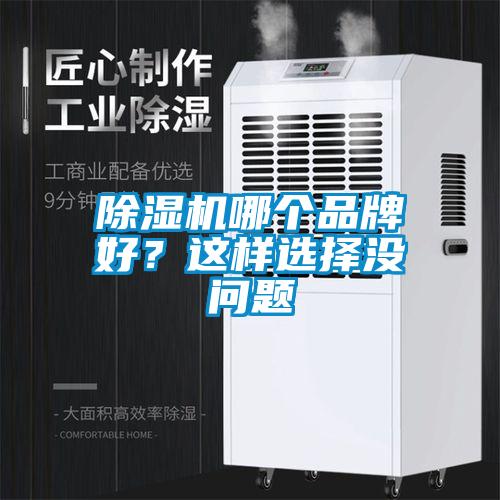 除濕機(jī)哪個(gè)品牌好?這樣選擇沒問題
