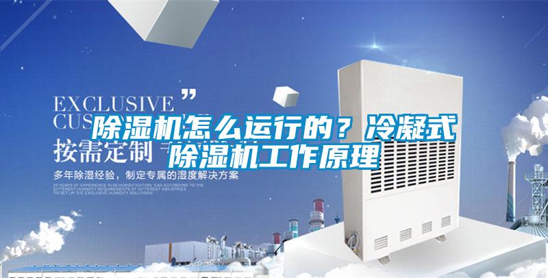 除濕機怎么運行的?冷凝式除濕機工作原理