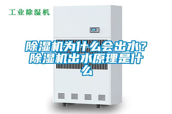 除濕機為什么會出水?除濕機出水原理是什么