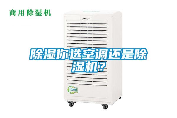 除濕你選空調還是除濕機？