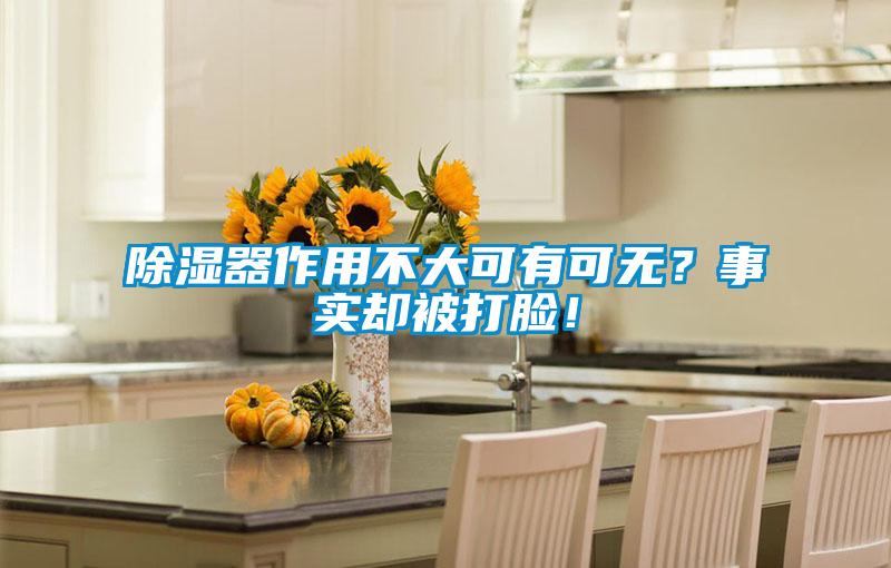 除濕器作用不大可有可無？事實卻被打臉！