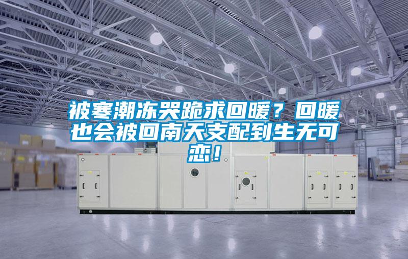 被寒潮凍哭跪求回暖？回暖也會被回南天支配到生無可戀！