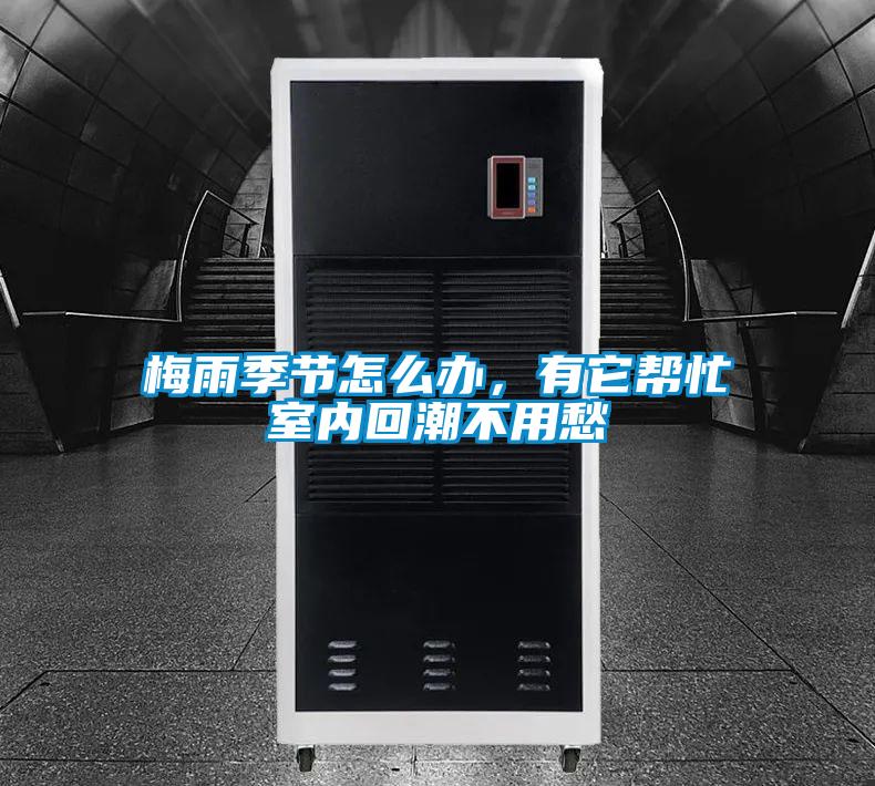 梅雨季節怎么辦，有它幫忙室內回潮不用愁