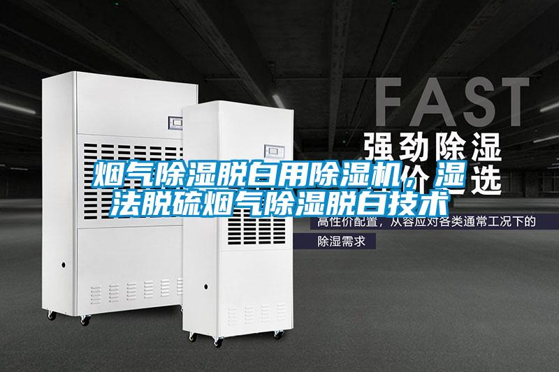 煙氣除濕脫白用除濕機，濕法脫硫煙氣除濕脫白技術