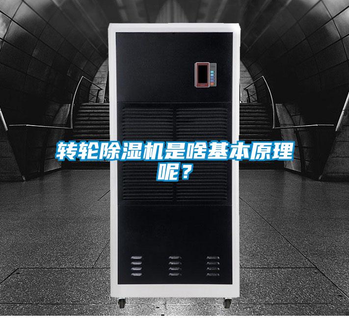 轉(zhuǎn)輪除濕機是啥基本原理呢?