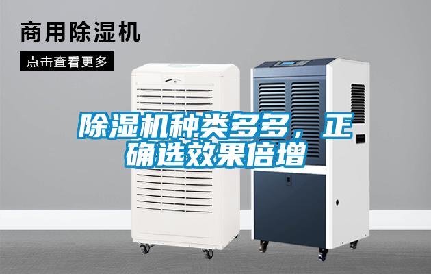 除濕機種類多多，正確選效果倍增