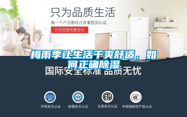 梅雨季讓生活干爽舒適,如何正確除濕