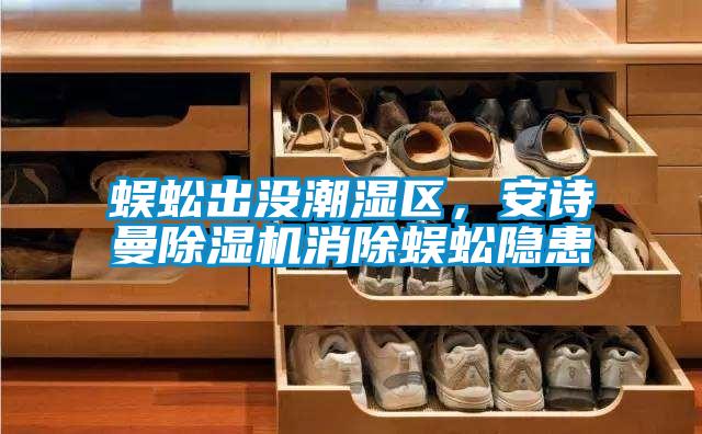 蜈蚣出沒潮濕區(qū),安詩曼除濕機消除蜈蚣隱患