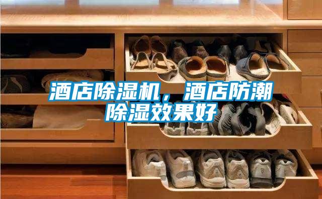 酒店除濕機，酒店防潮除濕效果好
