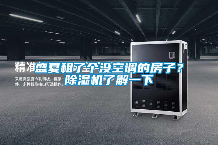 盛夏租了個(gè)沒(méi)空調(diào)的房子？除濕機(jī)了解一下