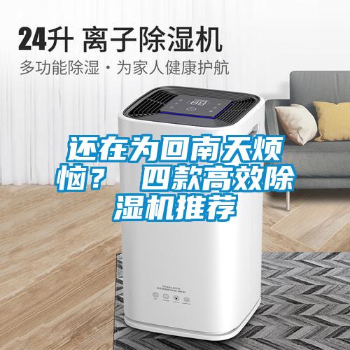 還在為回南天煩惱? 四款高效除濕機推薦