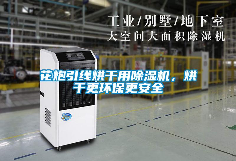 花炮引線烘干用除濕機，烘干更環保更安全