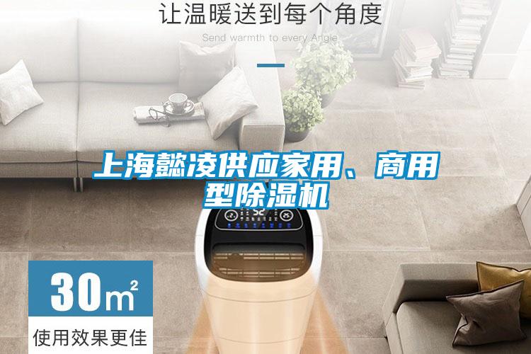上海懿凌供應(yīng)家用、商用型除濕機(jī)