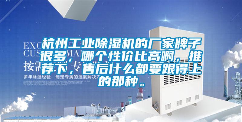 杭州工業(yè)除濕機(jī)的廠家牌子很多,哪個(gè)性?xún)r(jià)比高啊,推薦下,售后什么都要跟得上的那種。