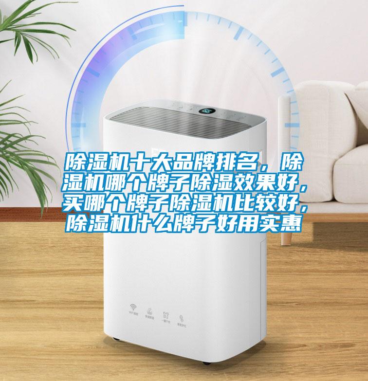 除濕機十大品牌排名，除濕機哪個牌子除濕效果好，買哪個牌子除濕機比較好，除濕機什么牌子好用實惠