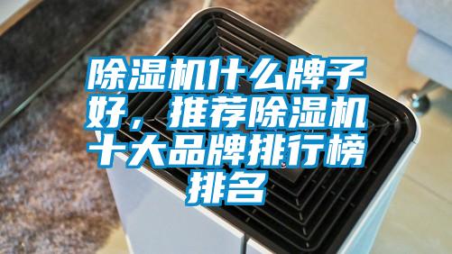 除濕機什么牌子好，推薦除濕機十大品牌排行榜排名