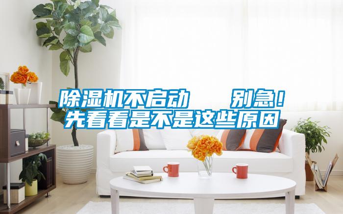 除濕機不啟動   別急！先看看是不是這些原因