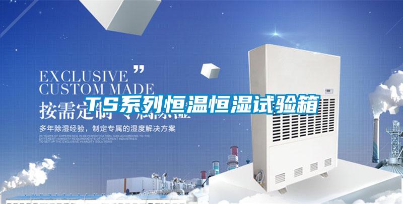 TS系列恒溫恒濕試驗箱